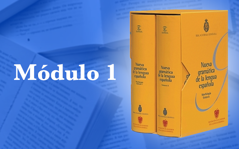 PDF) Libro de estilo de la lengua española RAE (1)